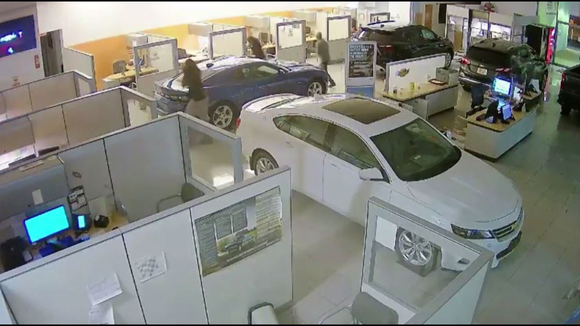 Police are asking for help identifying the suspects who stole three cars from Don Brown Chevrolet on June 2.