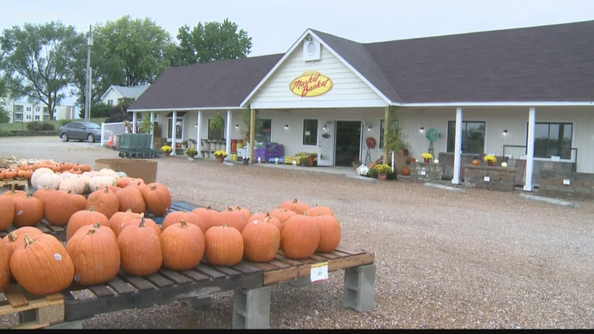 Get all the pumpkins and fall decorations you need at Joe’s Market Basket.