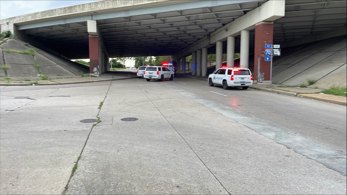 Woman shot in the head in St. Louis' Pine Lawn neighborhood - Vimarsana News