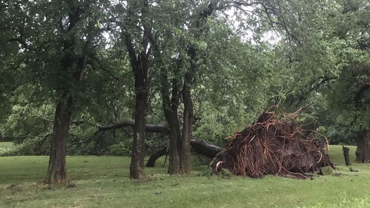 Storm damage in the St. Louis area June 17, 2022