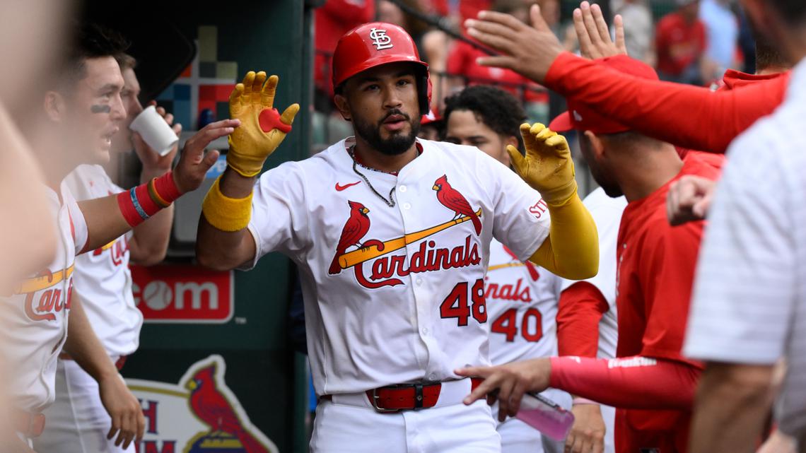 Missouri fall mushroom guide Edible - C36be52b 5e59 4d16 B4cd 3d63b355a33a 1140x641 