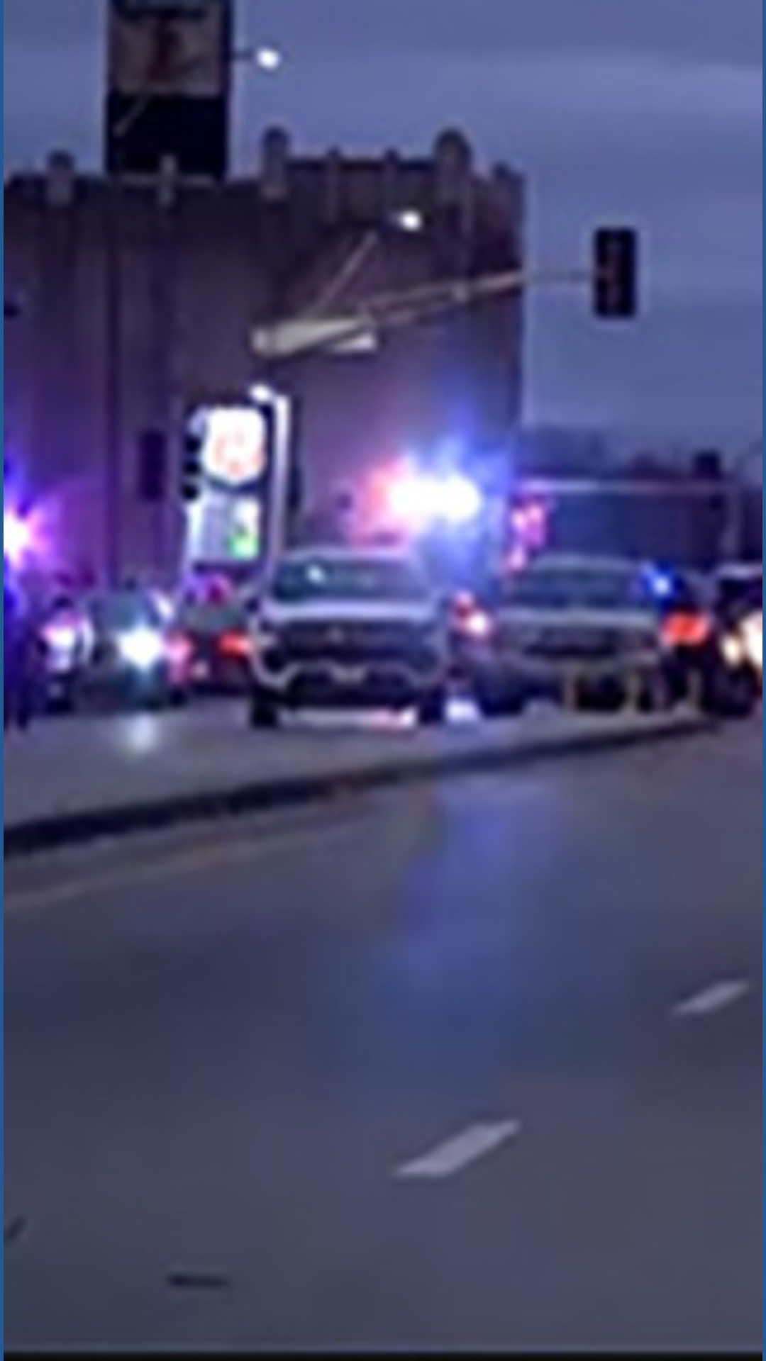 Grandson charged with murder in stabbing of grandmother, two dogs in St ...