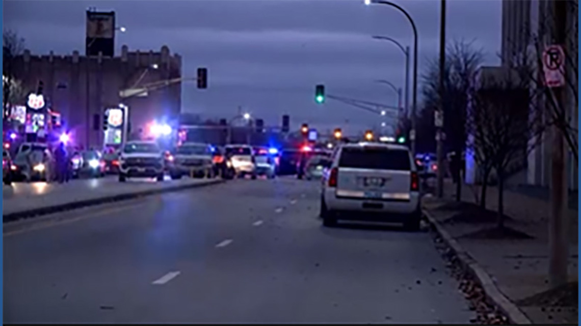 Grandson charged with murder in stabbing of grandmother, two dogs in St ...
