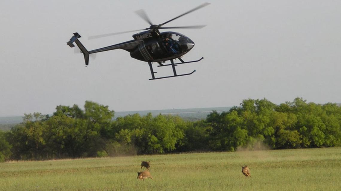 Aerial feral hog elimination shuts down 2 Missouri state parks for days
