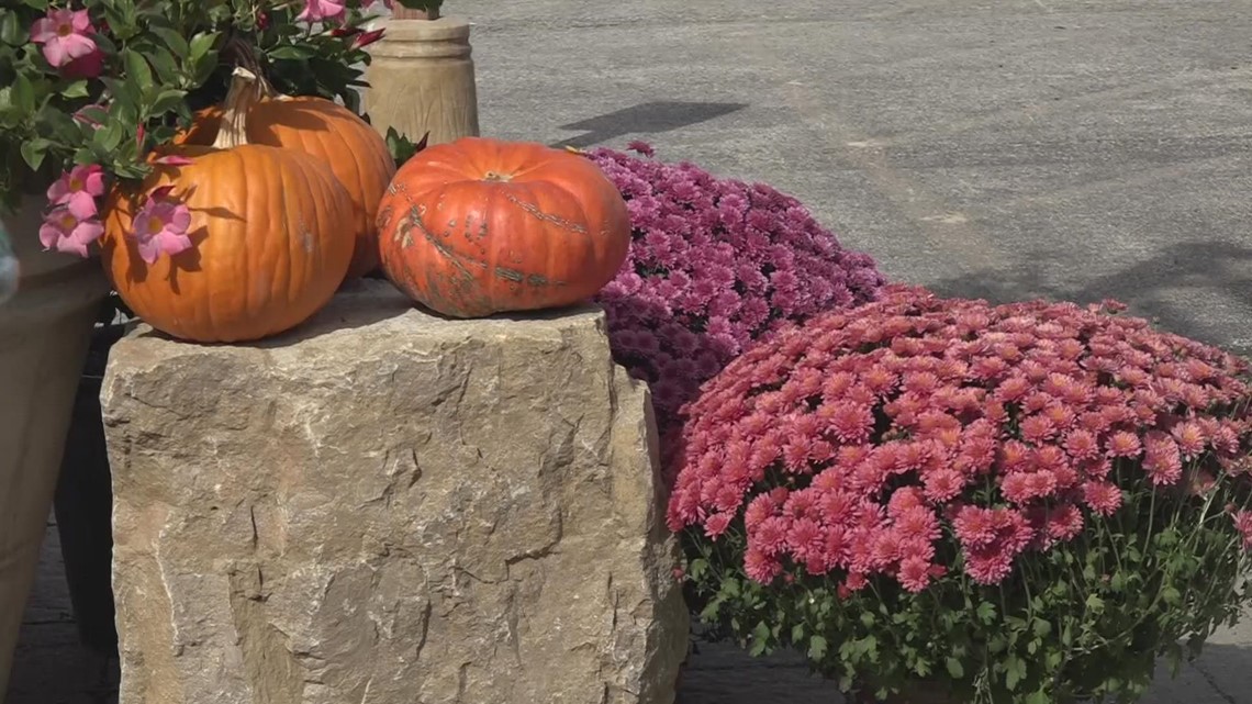 First frost in the St. Louis area - Vimarsana News