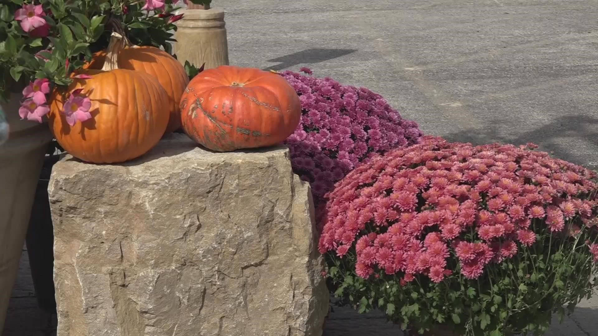 Most, but not all of the bi-state will dip below the frost threshold overnight. Here's what to know about the first frost of the season in the St. Louis area.