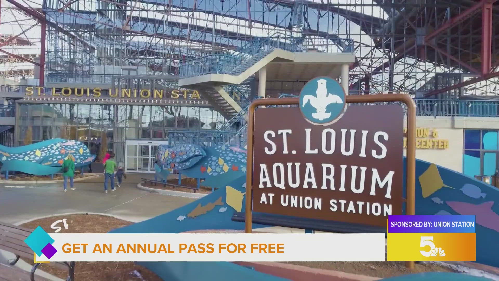 Win free tickets to the St. Louis Aquarium to pet the stingrays, visit Shark Canyon, and more.