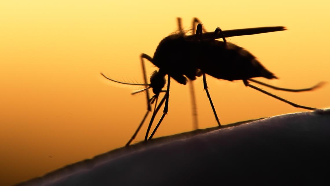 West Nile Virus kills 3 in Missouri as cases surge