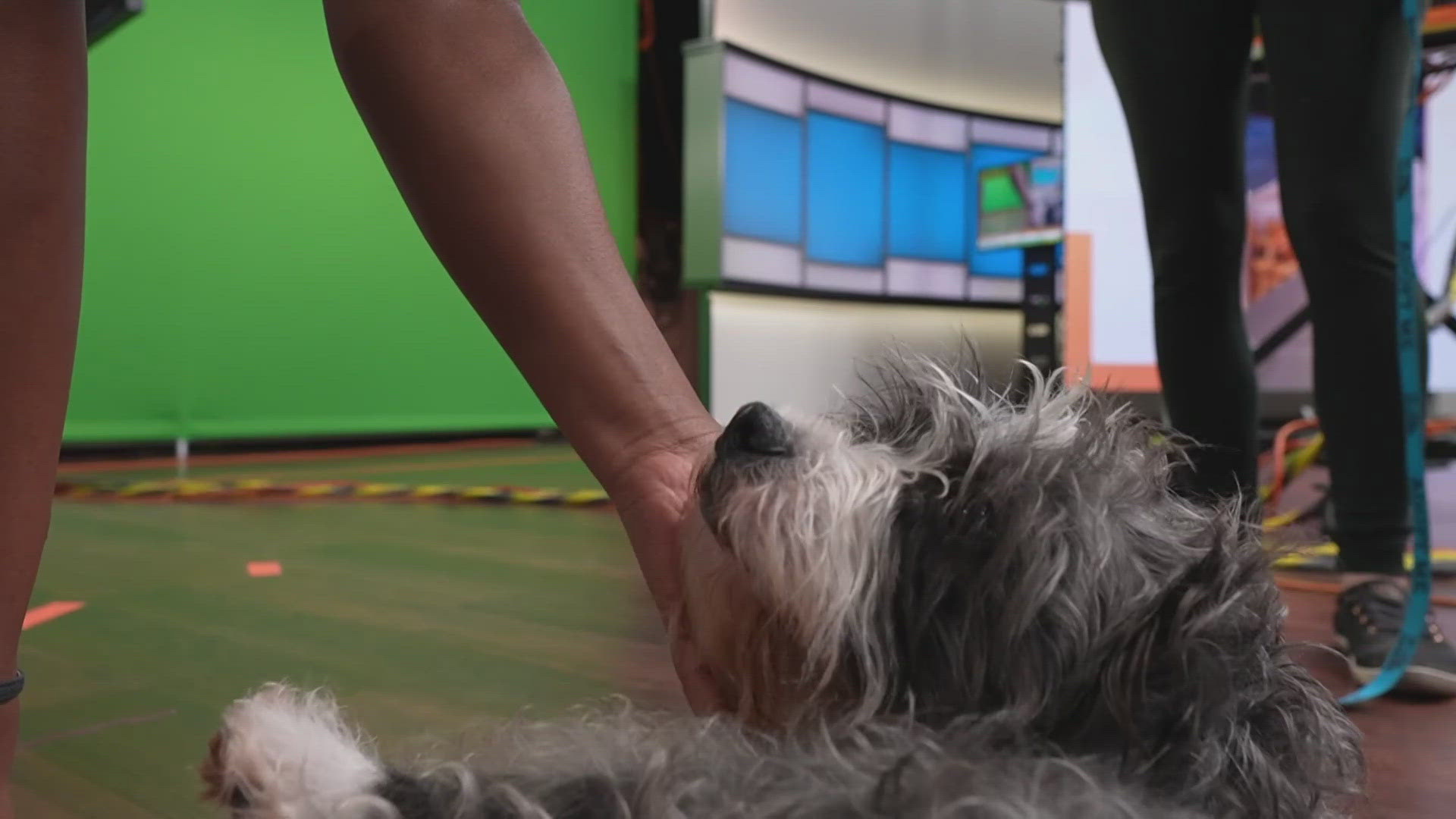 Sammy's Stars: May 29, 2024 | ksdk.com