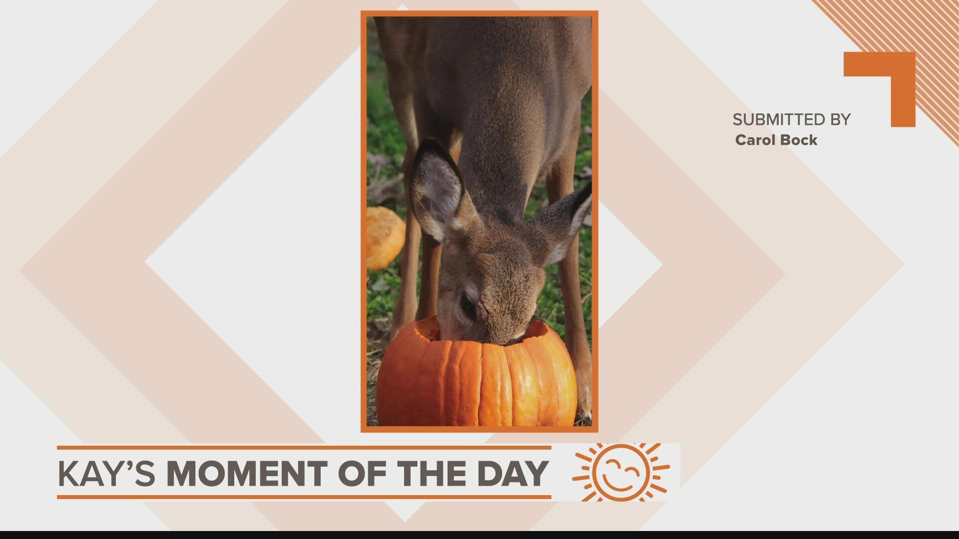Kay's Moment of the Day for Nov. 16