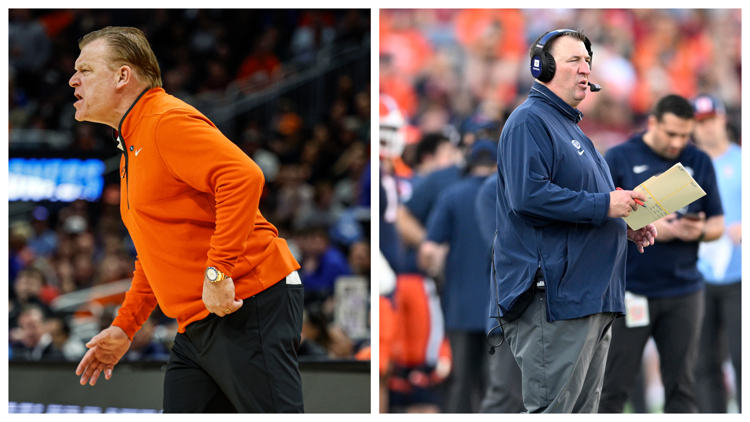 Missouri fall mushroom guide Edible - C657f8ca E629 4036 9235 B09b42589861 750x422 