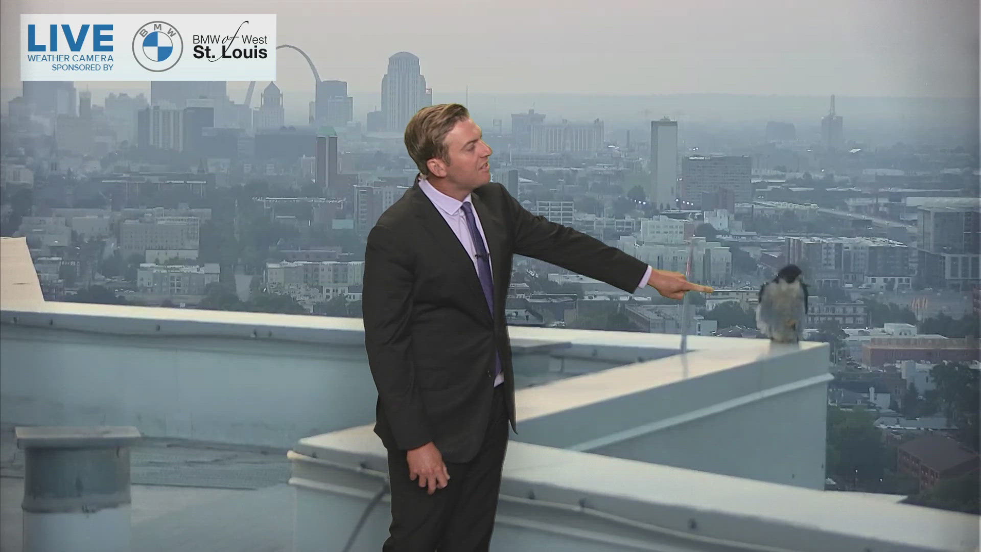 Meteorologist Garry Frank found a surprise on one of the cameras during Today In St. Louis. Our viewers helped us identify what kind of bird popped up on the camera!