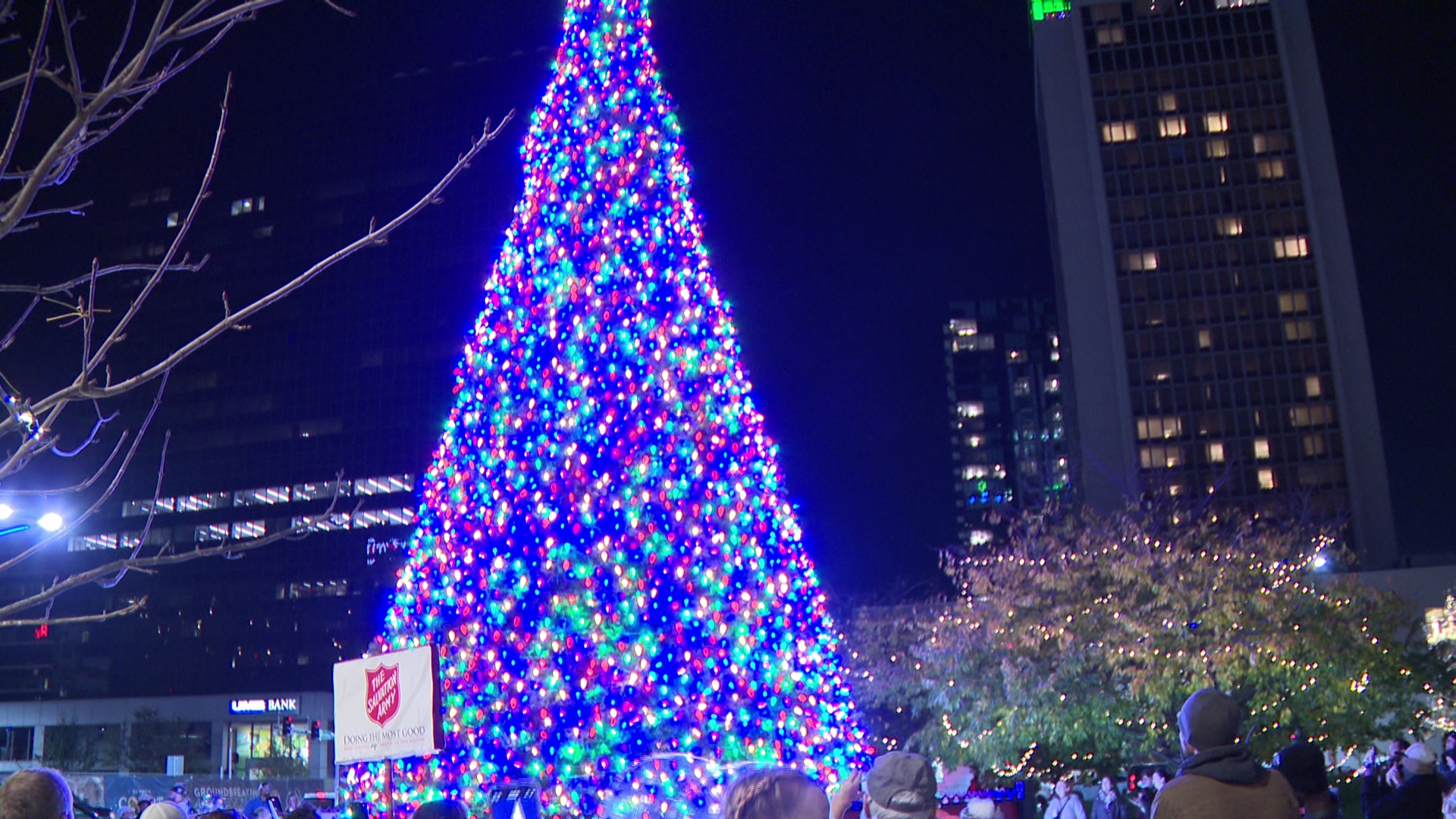 The tree lighting for the national organization is a tradition started in St. Louis 77 years ago.