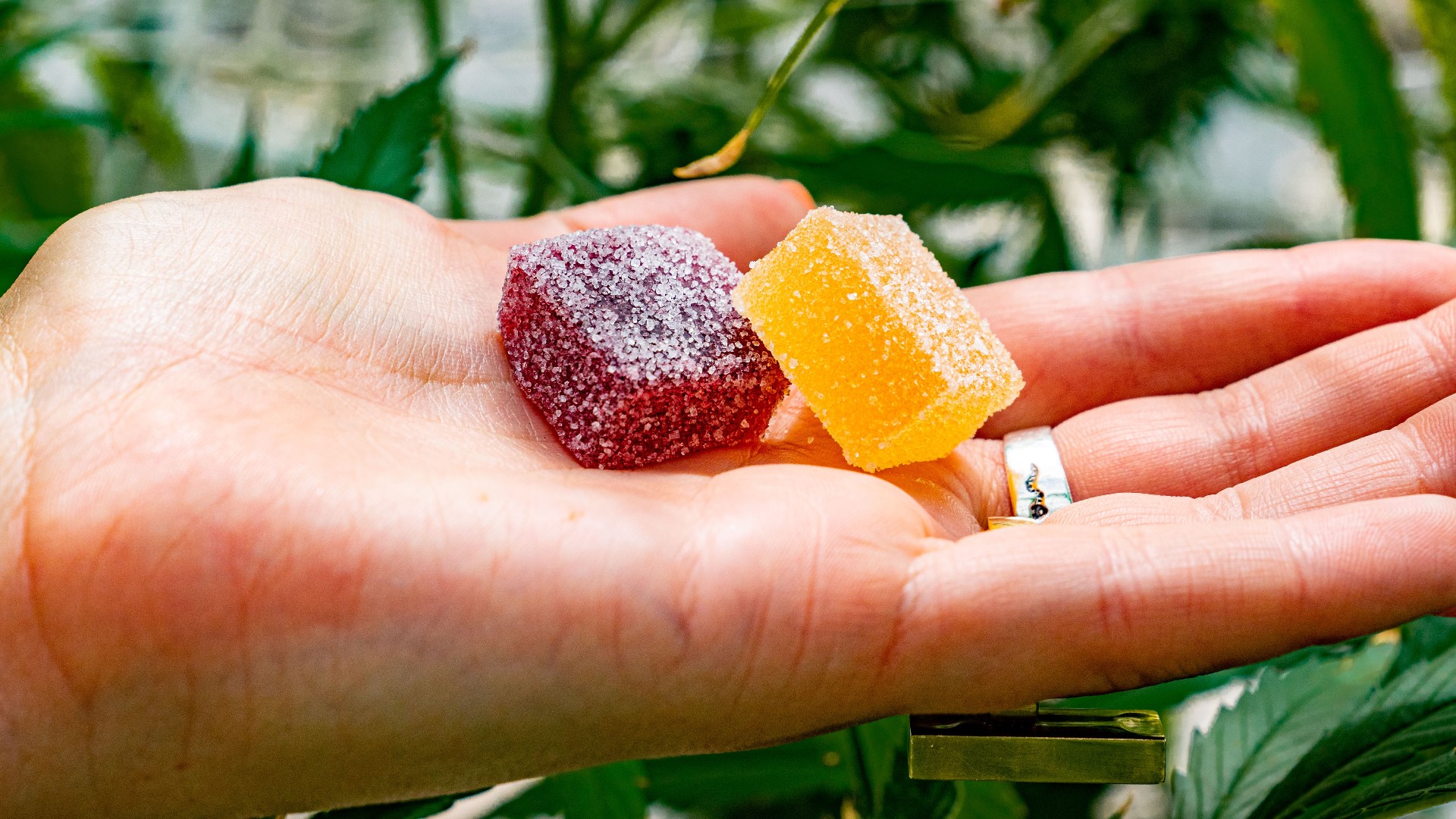 In 2023, Missouri has seen a record number of kids ages 5 and under exposed to cannabis edibles. Missouri Poison Center responds to hundreds of calls.