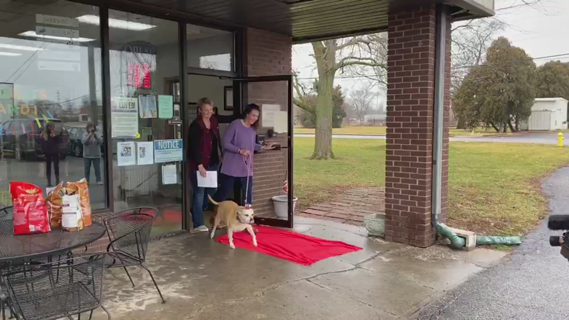 Video provided by Marion-Grant County Humane Society