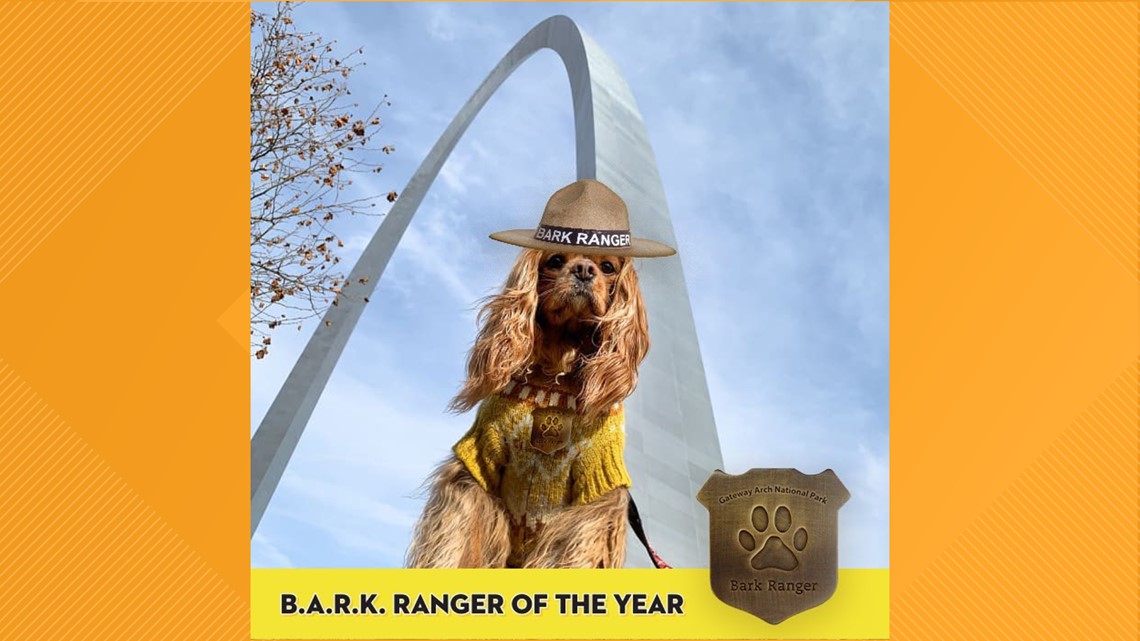 Dogs invited to join B.A.R.K. Ranger photo contest