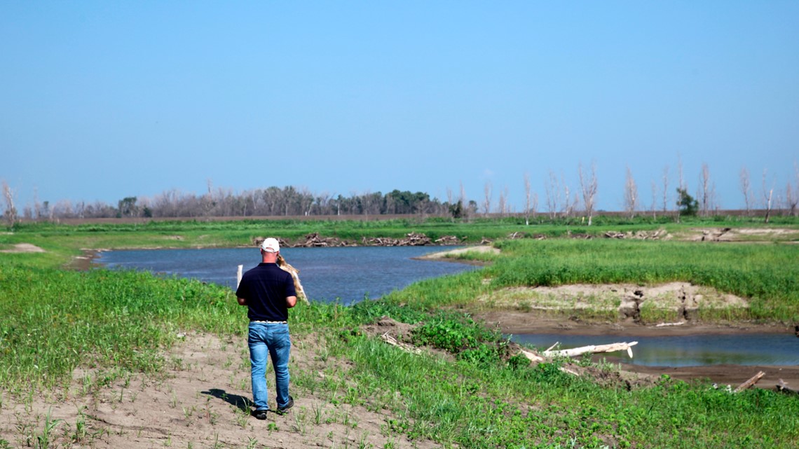 Corps of Engineers considers nature-based flood control - Vimarsana News