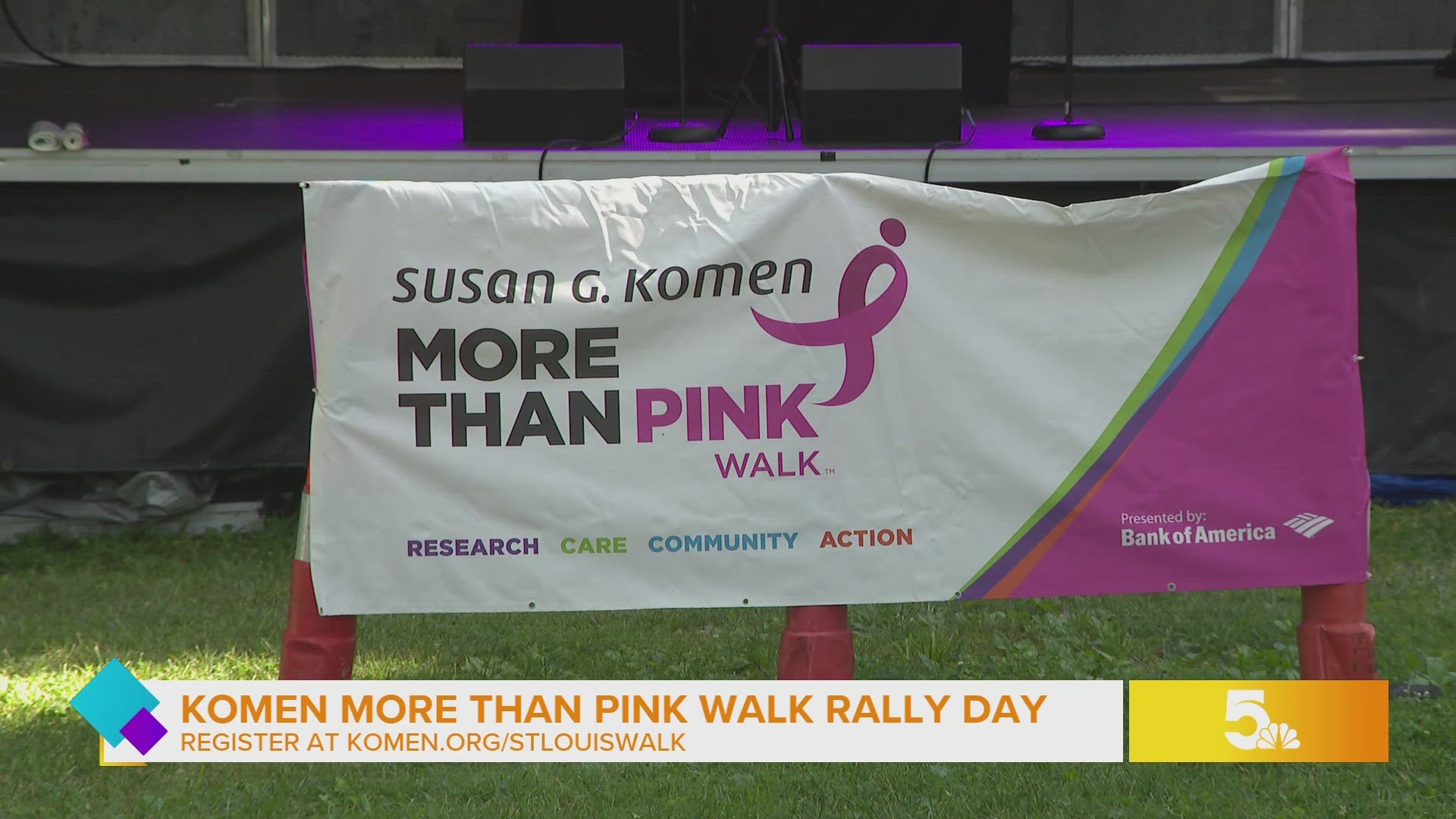 Komen More Than Pink Walk