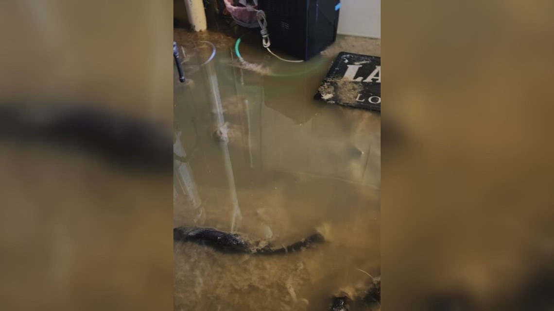 St. Peters homes left damaged by raw sewage backup - Vimarsana News