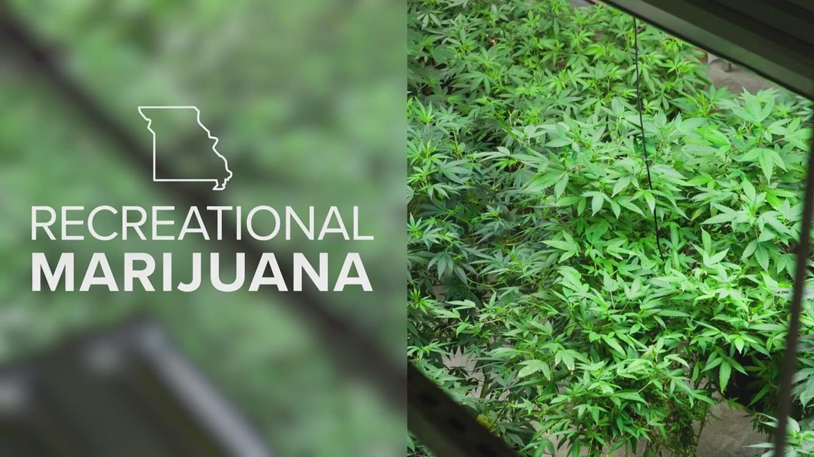 Missouri approves more than 200 dispensaries to sell recreational marijuana