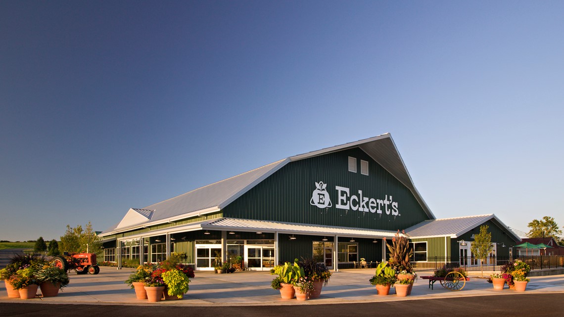 Eckert's accepting SNAP benefits - Vimarsana News