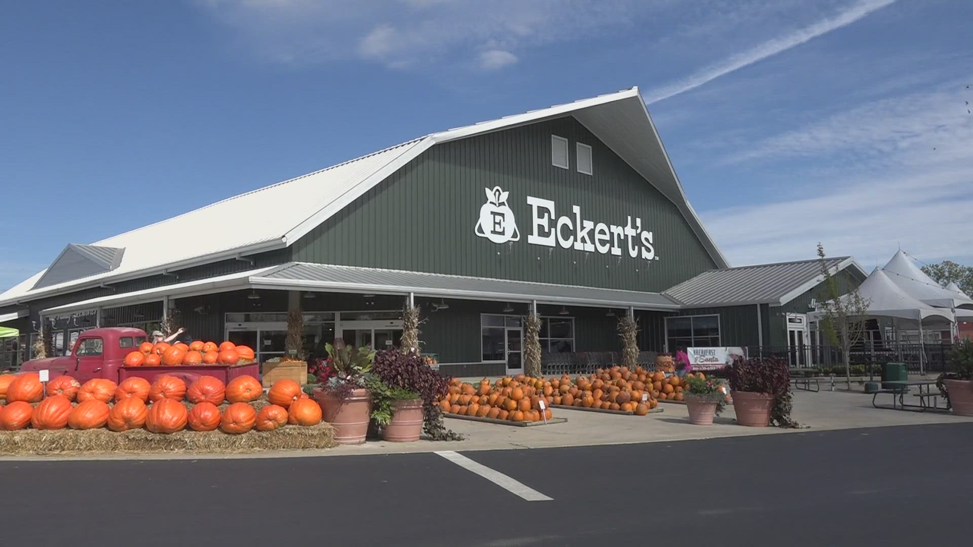 To celebrate the start of the fall season, on Sept. 22, all three Eckert's Farm locations are opening their pumpkin patches. The pumpkins cost 79 cents per pound.