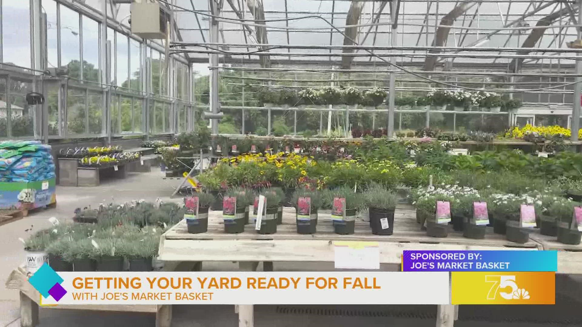 Prepare your yard for fall with mums, pumpkins and hardscapes from Joe