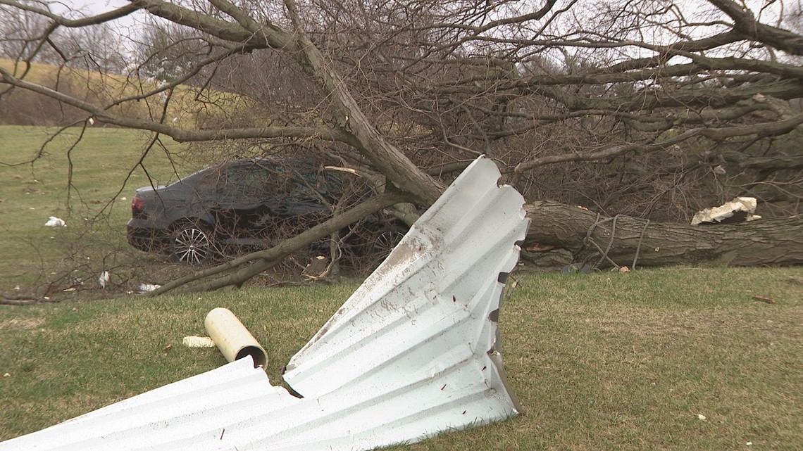 BBB warns of cons focusing on storm cleanup