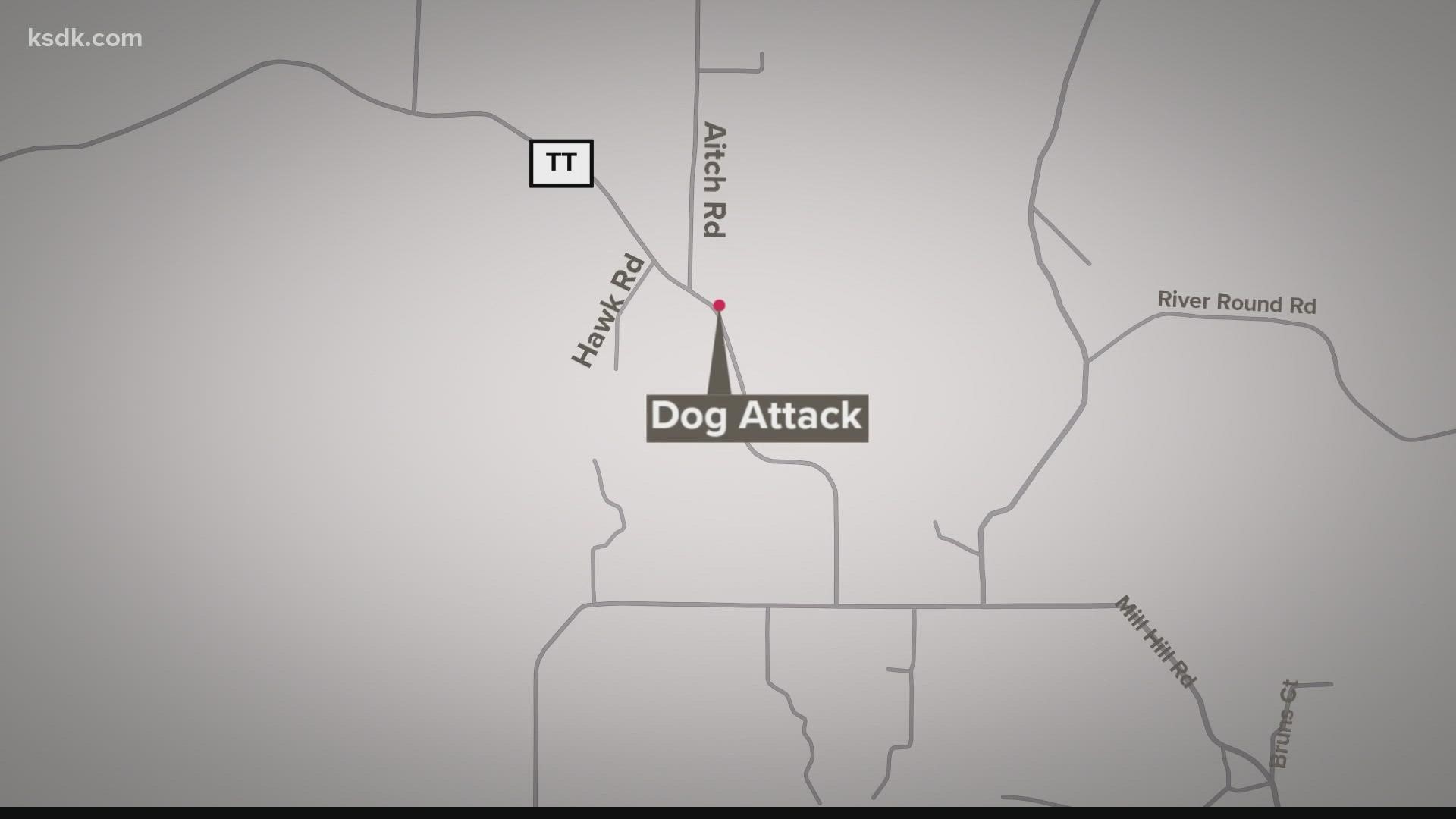 During their investigation, deputies found that the victim went to a relative's home, where she was attacked by dogs.