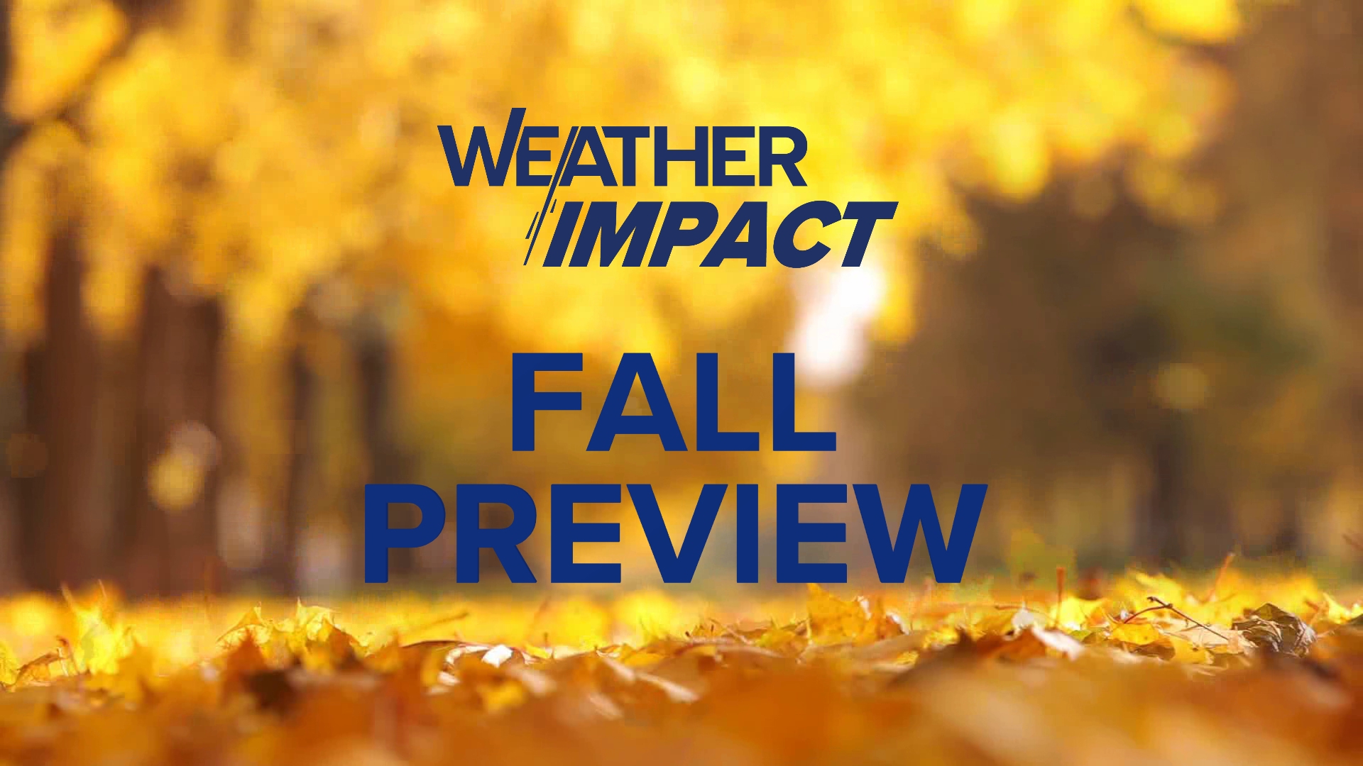 We know things will get cool in the fall at some point, but how will the leaves be this year? Our team of meteorologists breaks it down the science of fall.