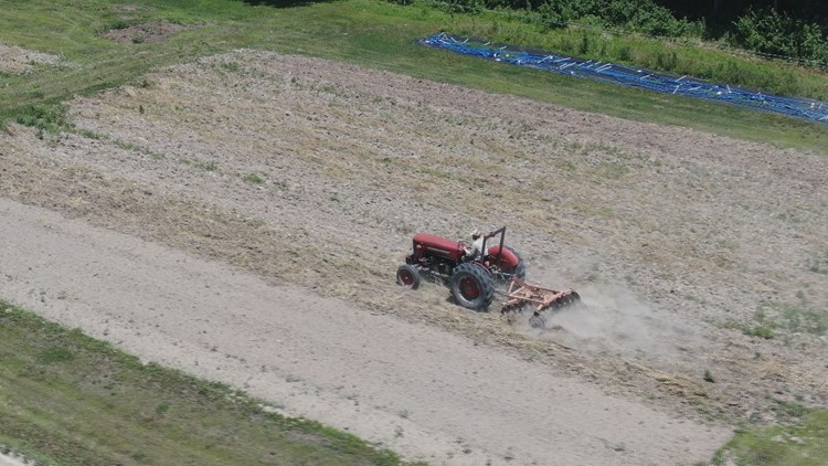 Illinois farmers feel the heat as dry temps, lack of rain impact crops
