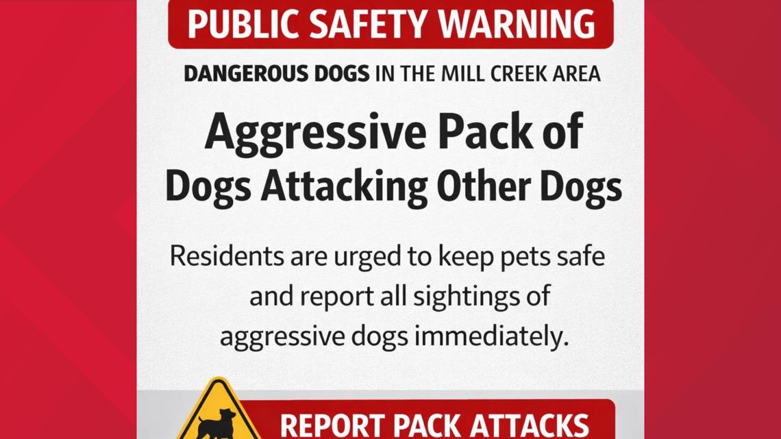 Residents warned of aggressive dog pack in Madison County, Missouri, after reported attack