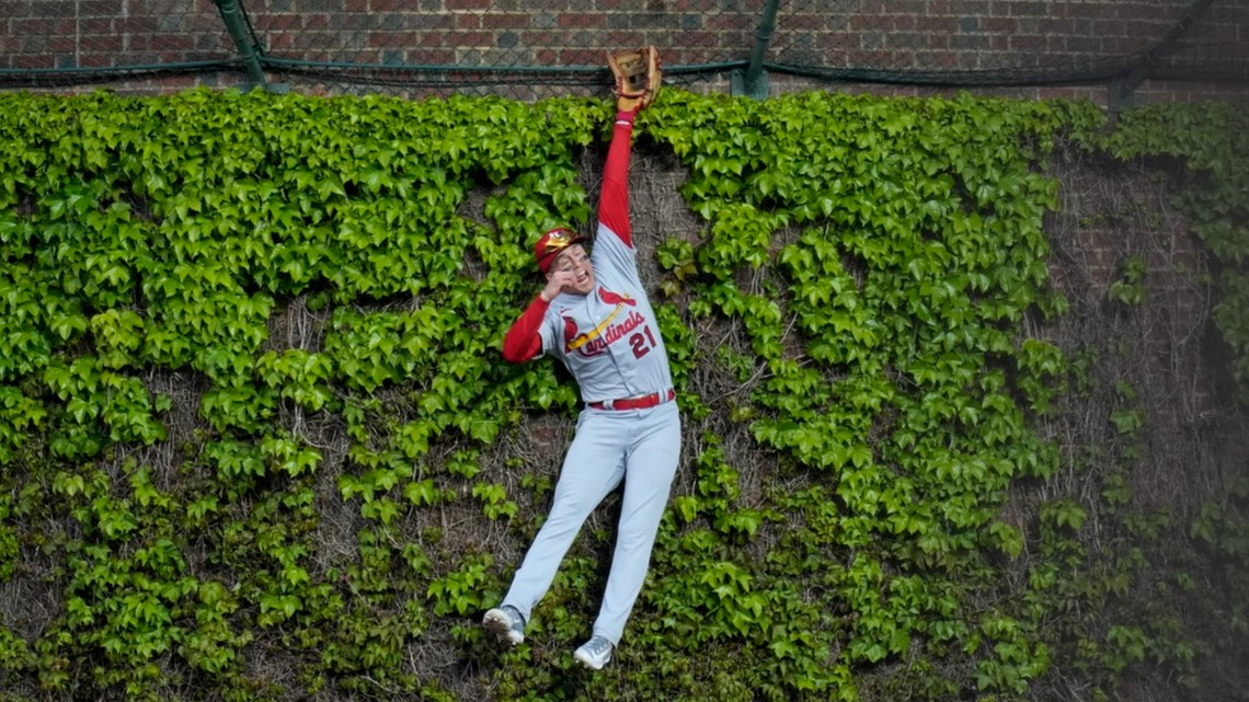 Wrigley Field Ivywall Stock Photo - Download Image Now - Baseball