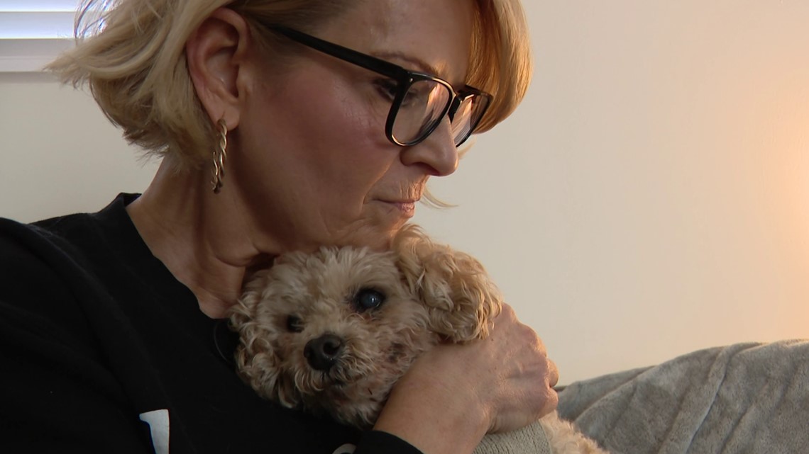 Second Chance Ranch is a sanctuary of hope for senior pets - Vimarsana News
