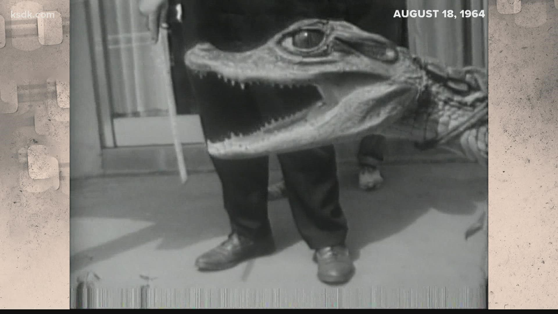 In 1964, boys found two baby alligators in Coldwater Creek