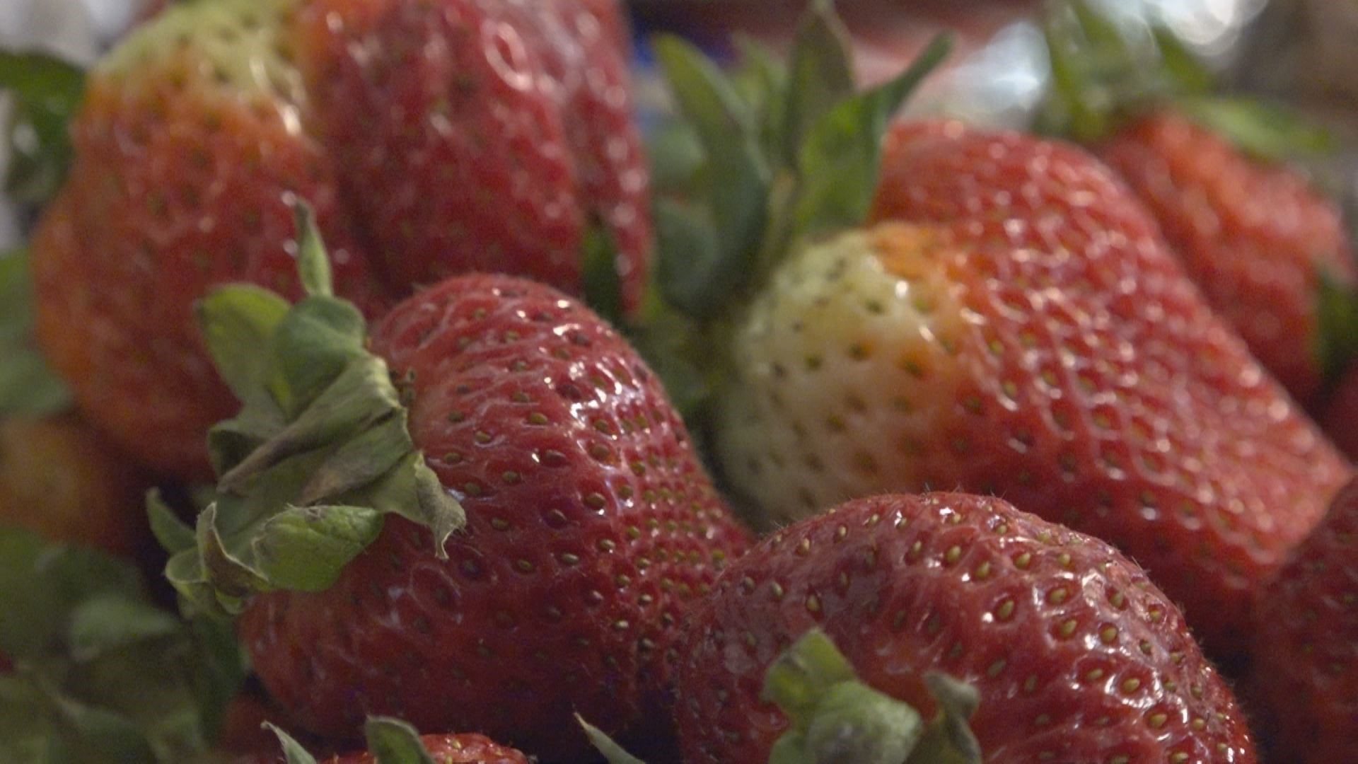 Kimmswick braces for thousands of visitors to Strawberry Festival