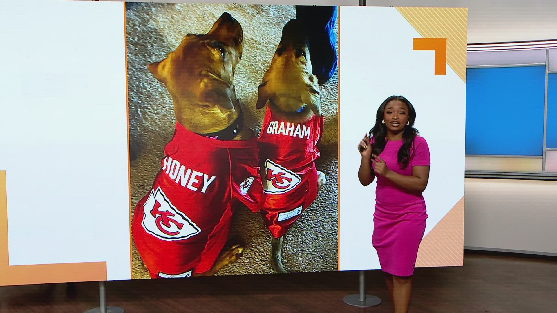 Sammy's Stars: Feb. 23, 2024 | ksdk.com