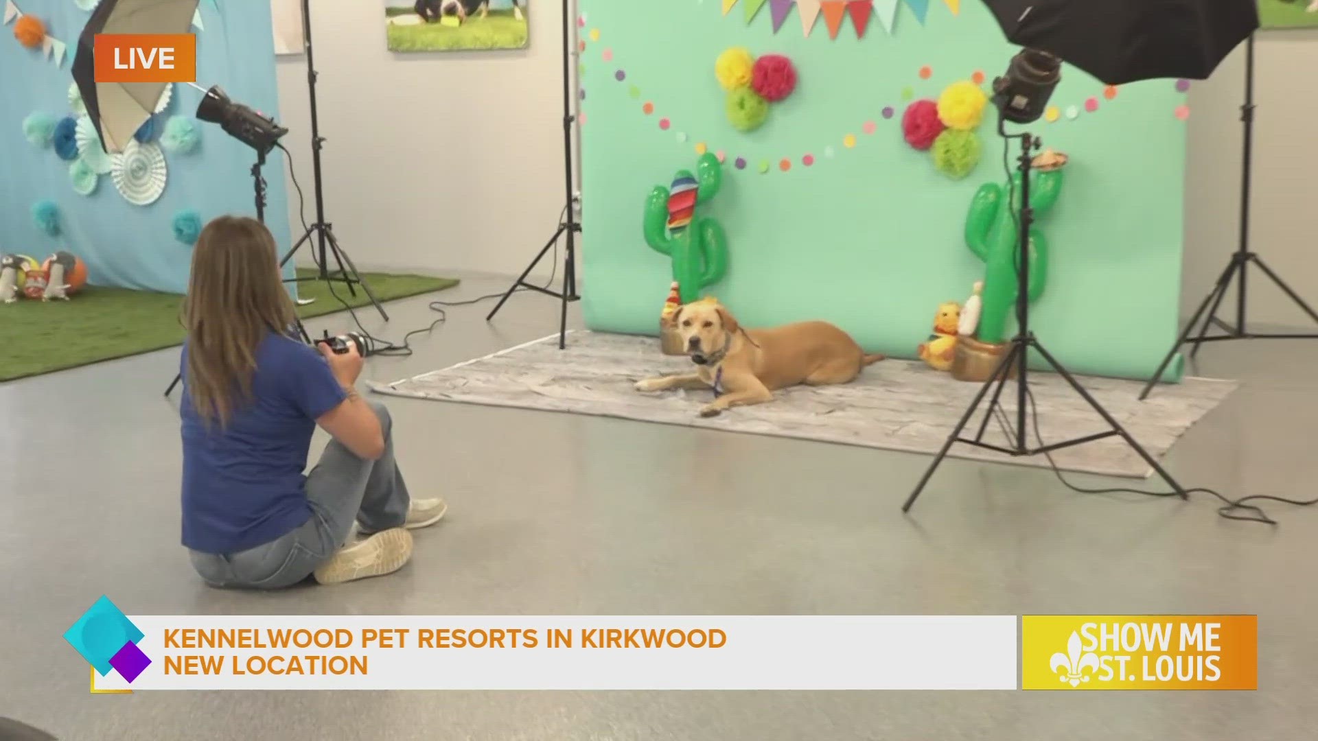 Kennelwood Pet Resorts opens new location in Kirkwood