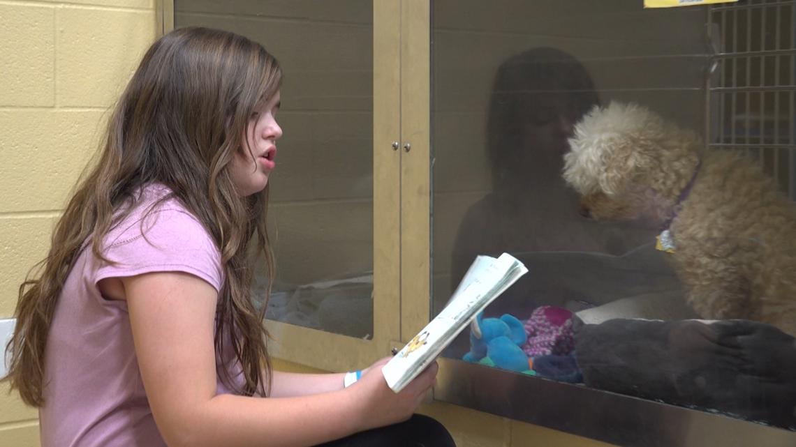 Kids read to shelter dogs athead of holidays at Humane Society of Missouri