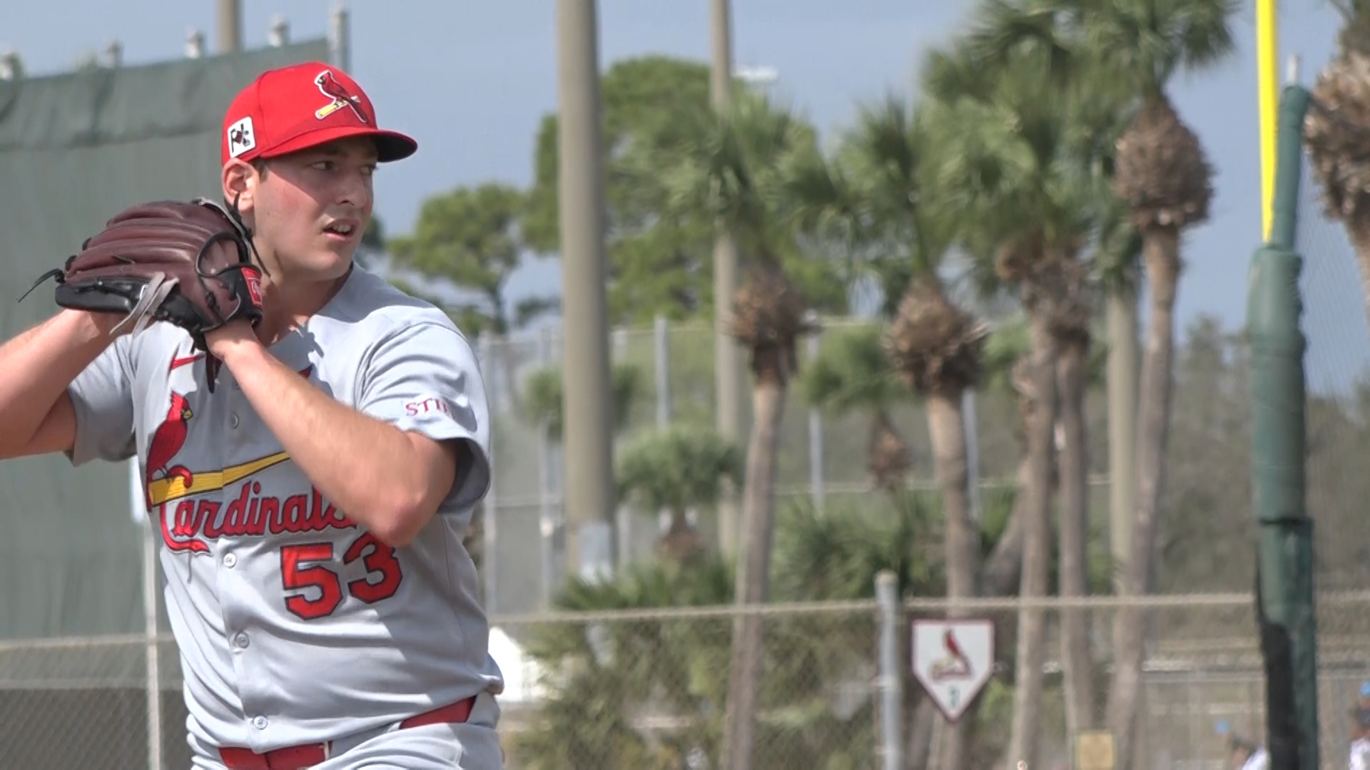 Di Quale Poema è Personaggio Pallante Pitcher Andre Pallante gives Cardinals the most bang for their buck