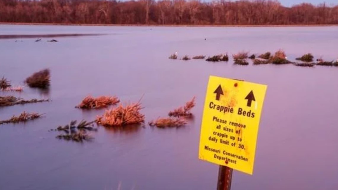 How Christmas tree recycling can help St. Louisarea wildlife