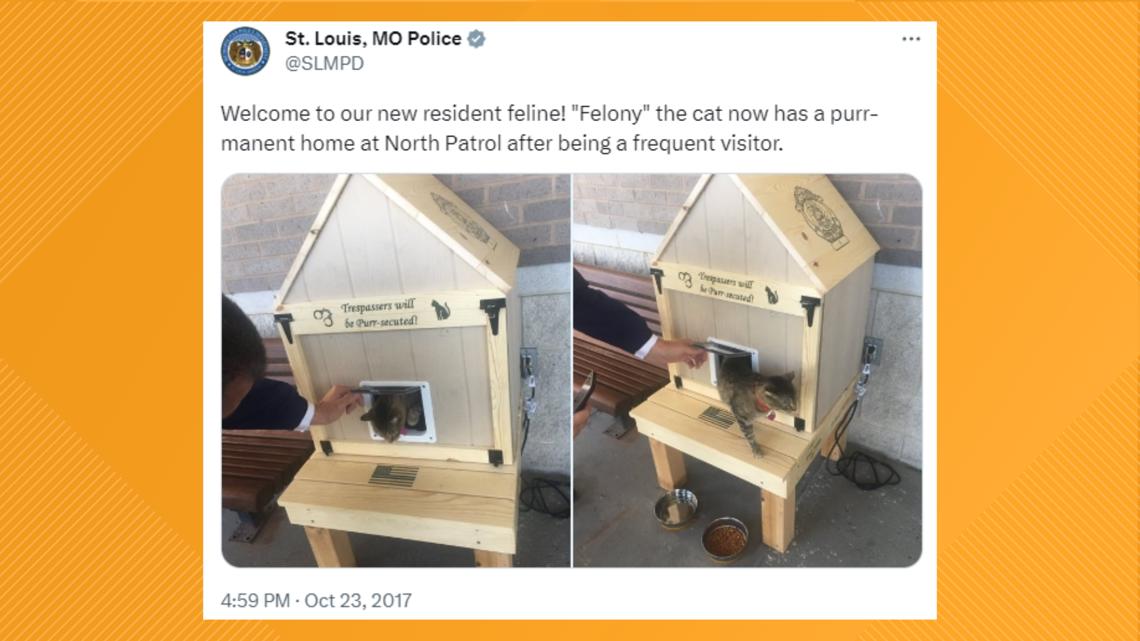 Cat mascot banned from St. Louis police building