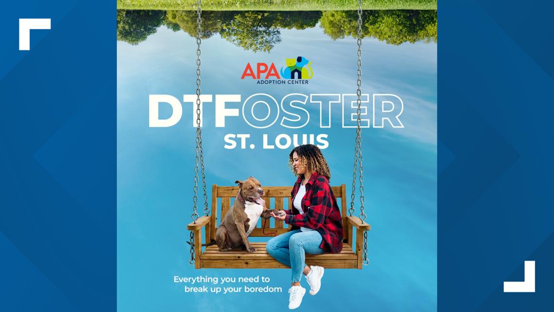 'DTFoster St. Louis' campaign launched by APA to inspire more pet fosters