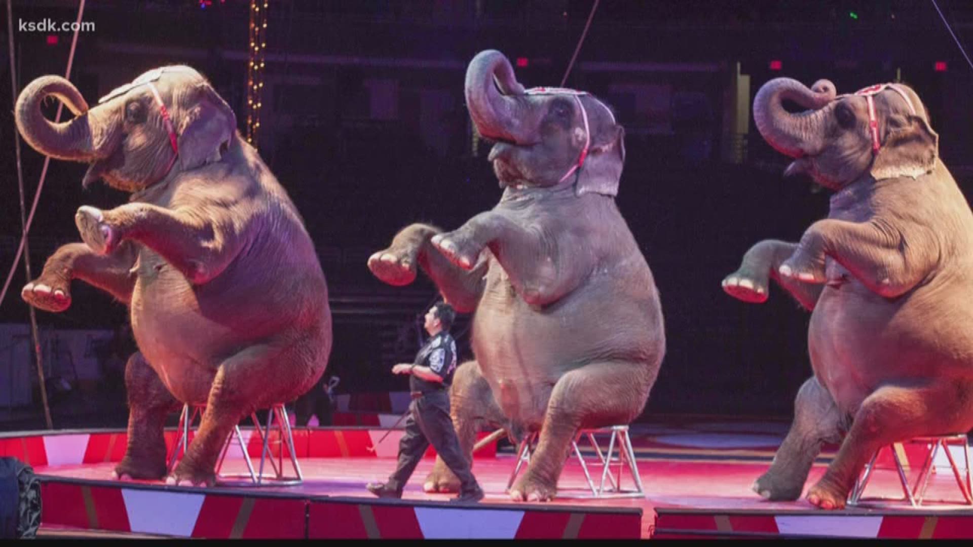 The 77th Moolah Shrine Circus will have you on the edge of your seat