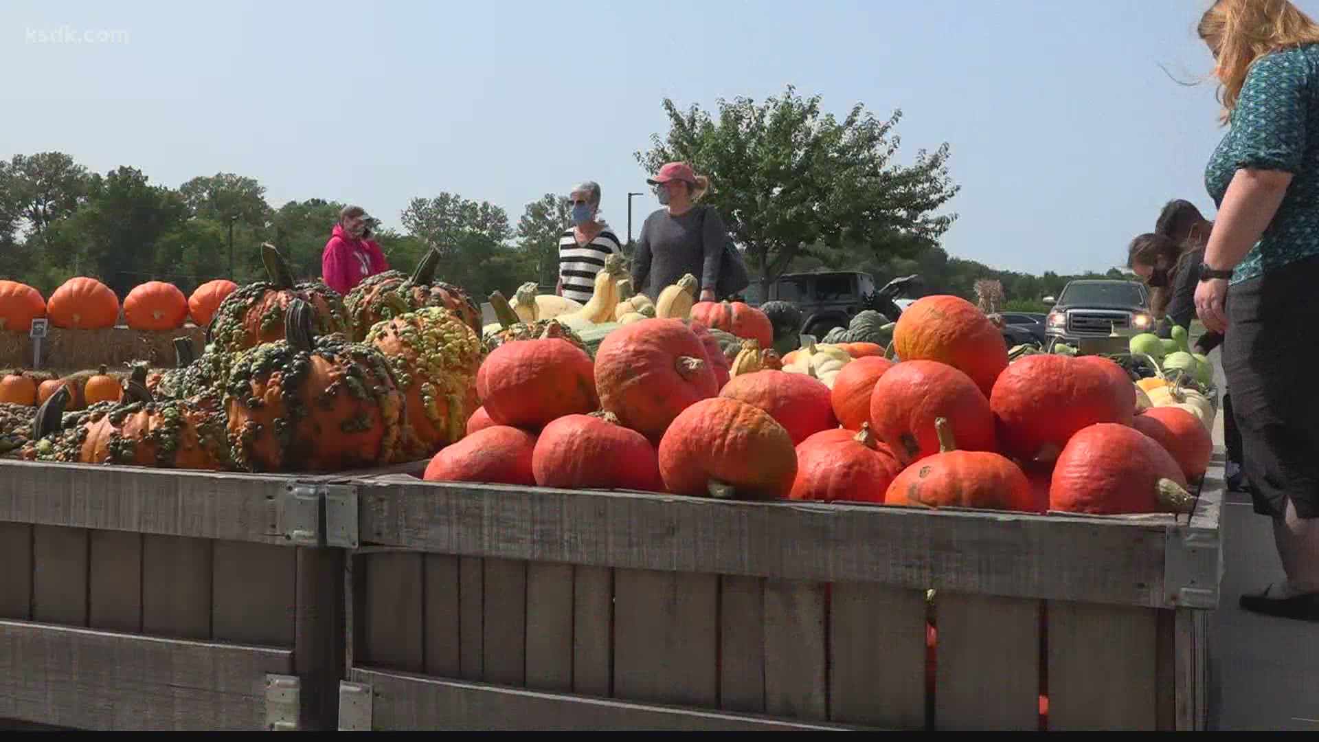 From pumpkin-picking to beer-tasting, there is no shortage of outdoor, socially-distanced activities and events