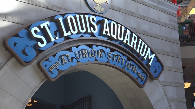 St. Louis Aquarium at Union Station Comment-to-Win Sweepstakes