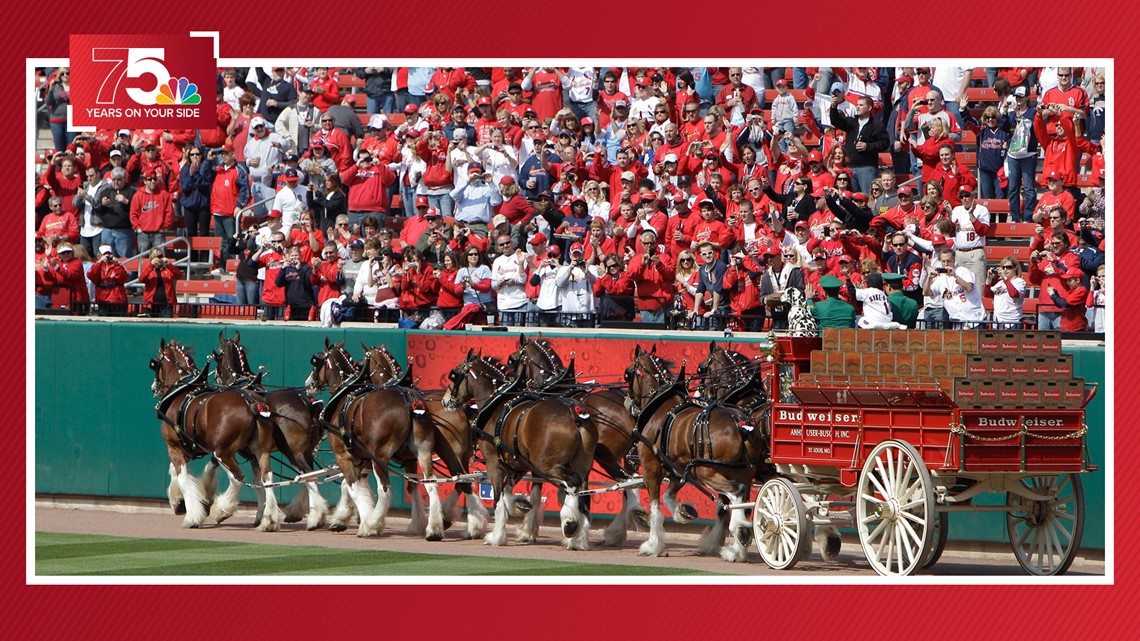 Clydesdales - St. Louis Cardinals Opening Day - Pinterest