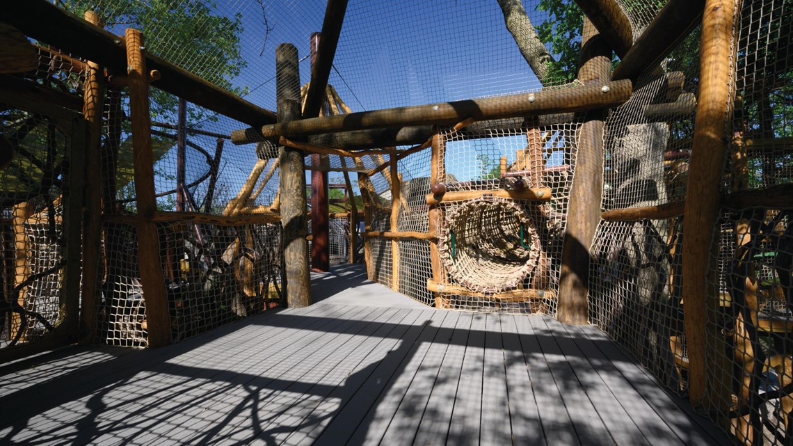Saint Louis Zoo's new primate exhibit is like a treehouse for all ...