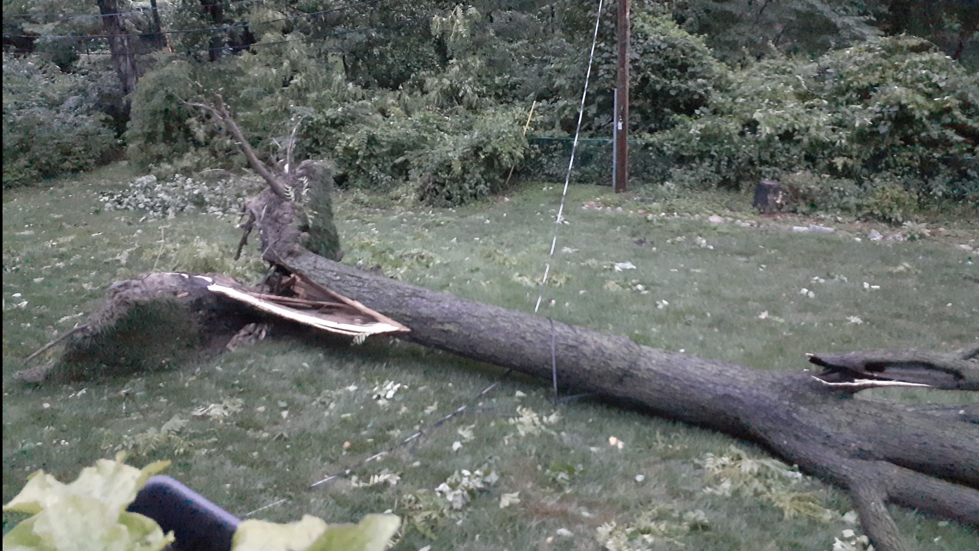 Thousands without power after strong storms | ksdk.com