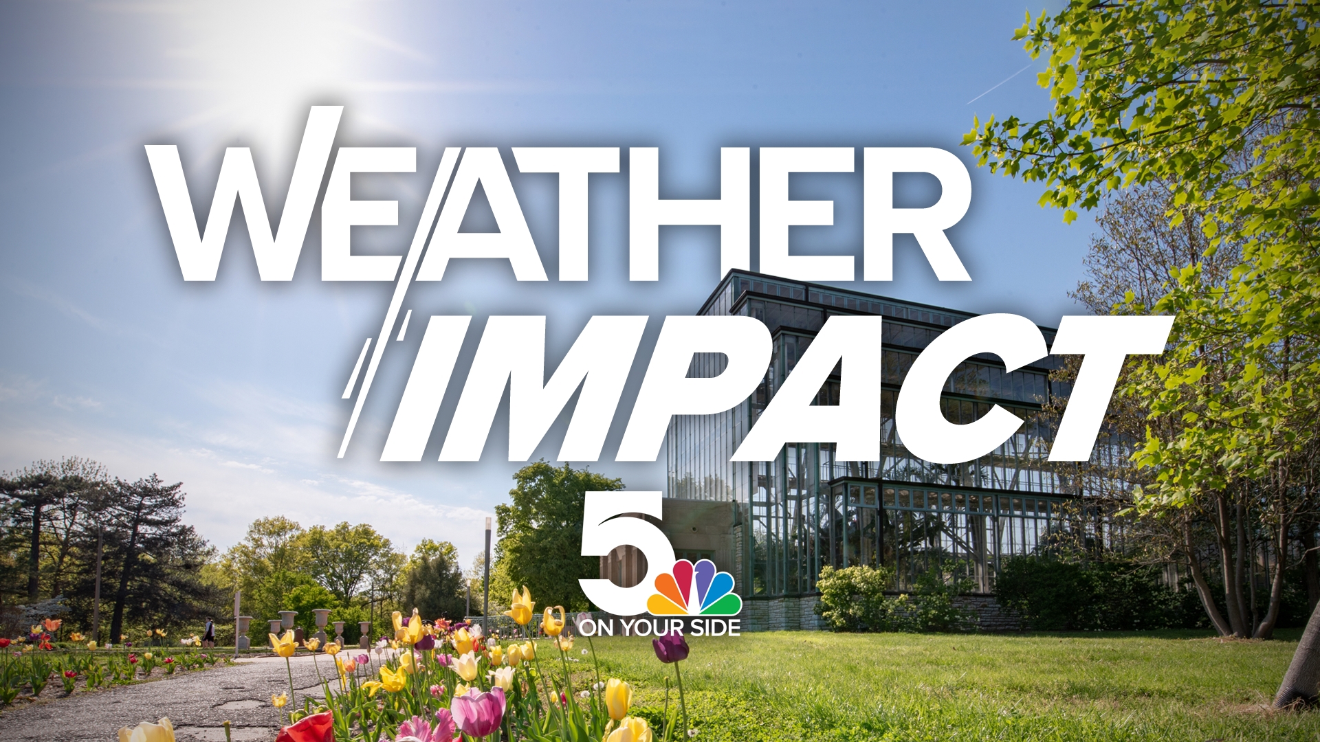 5 On Your Side meteorologists use Weather Impact Alerts to let you know when impactful or dangerous weather is expected.